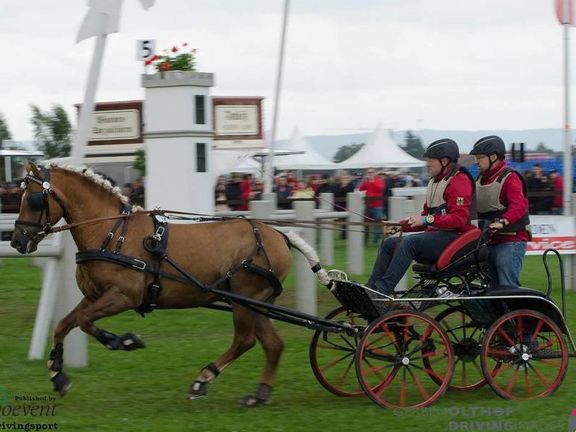 [Translate to Englisch:] FEI World Driving Chamionships for Ponies