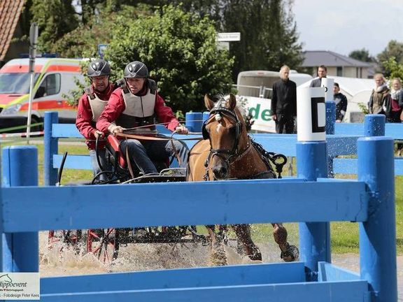 FEI World Driving Chamionships for Ponies